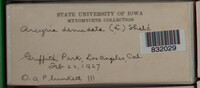 Image Associated With the Occurence